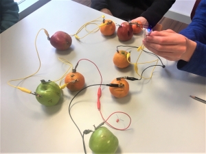 Picture of fruit circuit activity on a table, wires, fruit, zinc, .copper and LEDs, child holding it