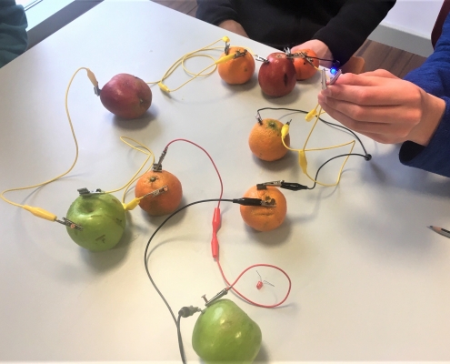Picture of fruit circuit activity on a table, wires, fruit, zinc, .copper and LEDs, child holding it