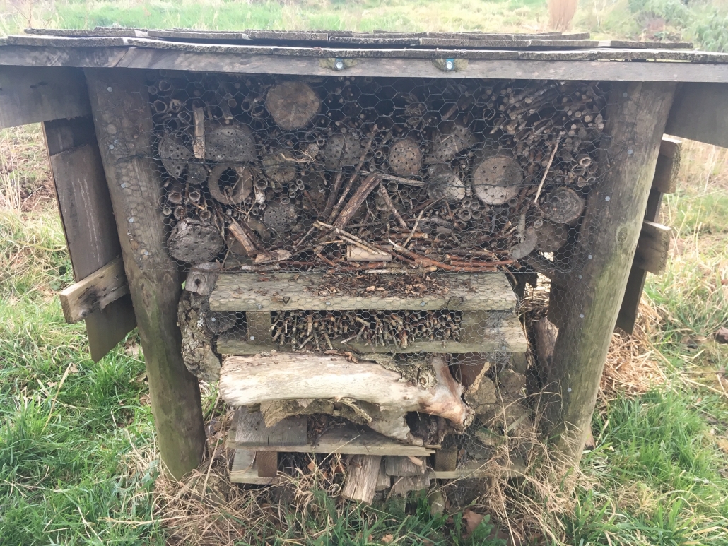 Picture of a bug hotel in Sidmouth, Devon