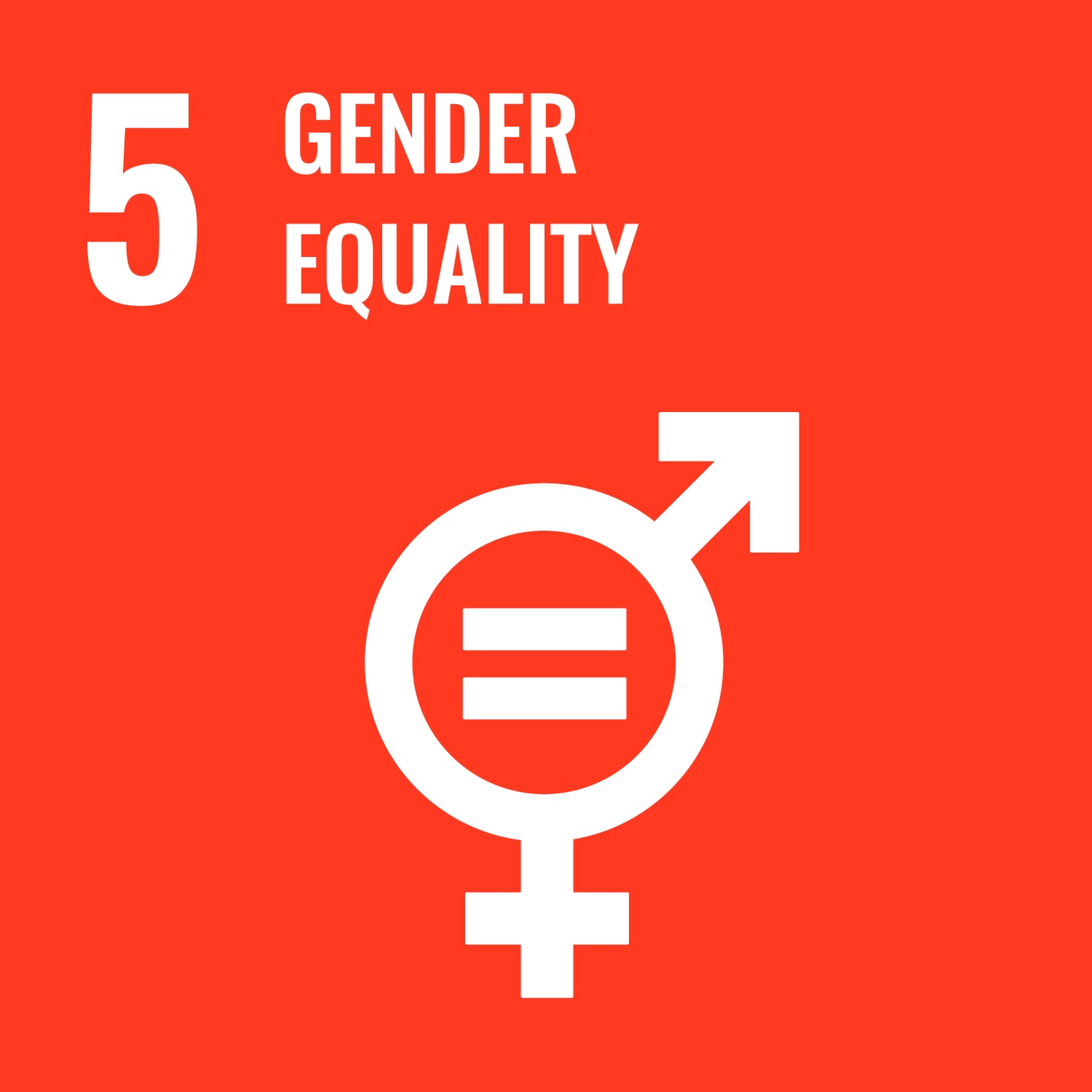 Icon for Sustainable Development Goal 5: Gender Equality