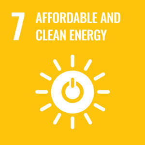 Icon for Sustainable Development Goal 7: Affordable and Clean Energy