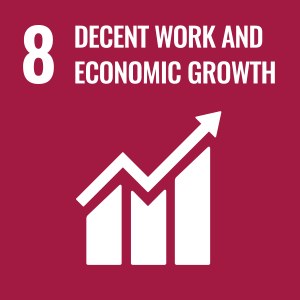 E_WEB_08 Icon for Sustainable Development Goal 8: Decent Work and Economic Growth