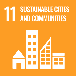 Icon for Sustainable Development Goal 11: Sustainable Cities and Communities