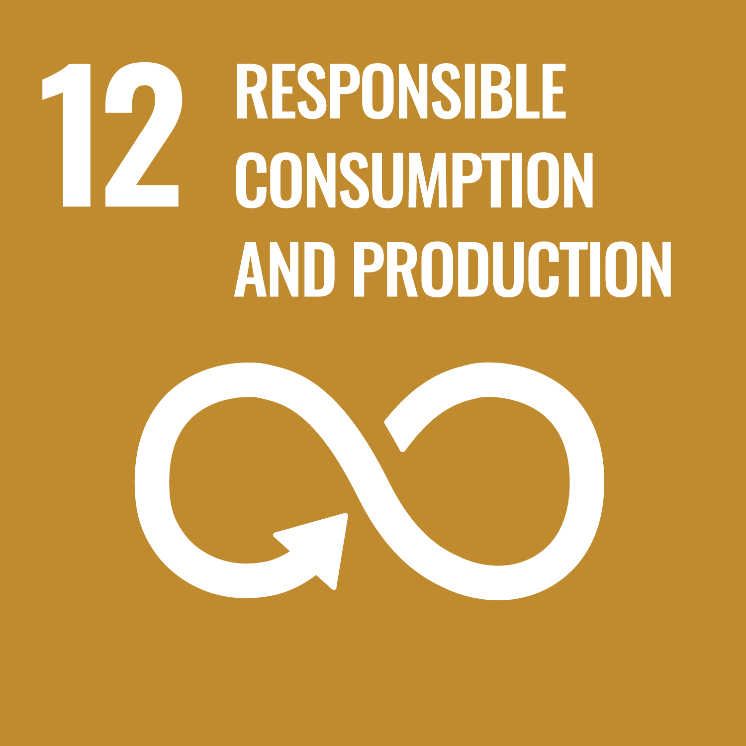 Icon for Sustainable Development Goal 12: Responsible Consumption and Production
