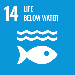 Icon for Sustainable Development Goal 14: Life Below Water