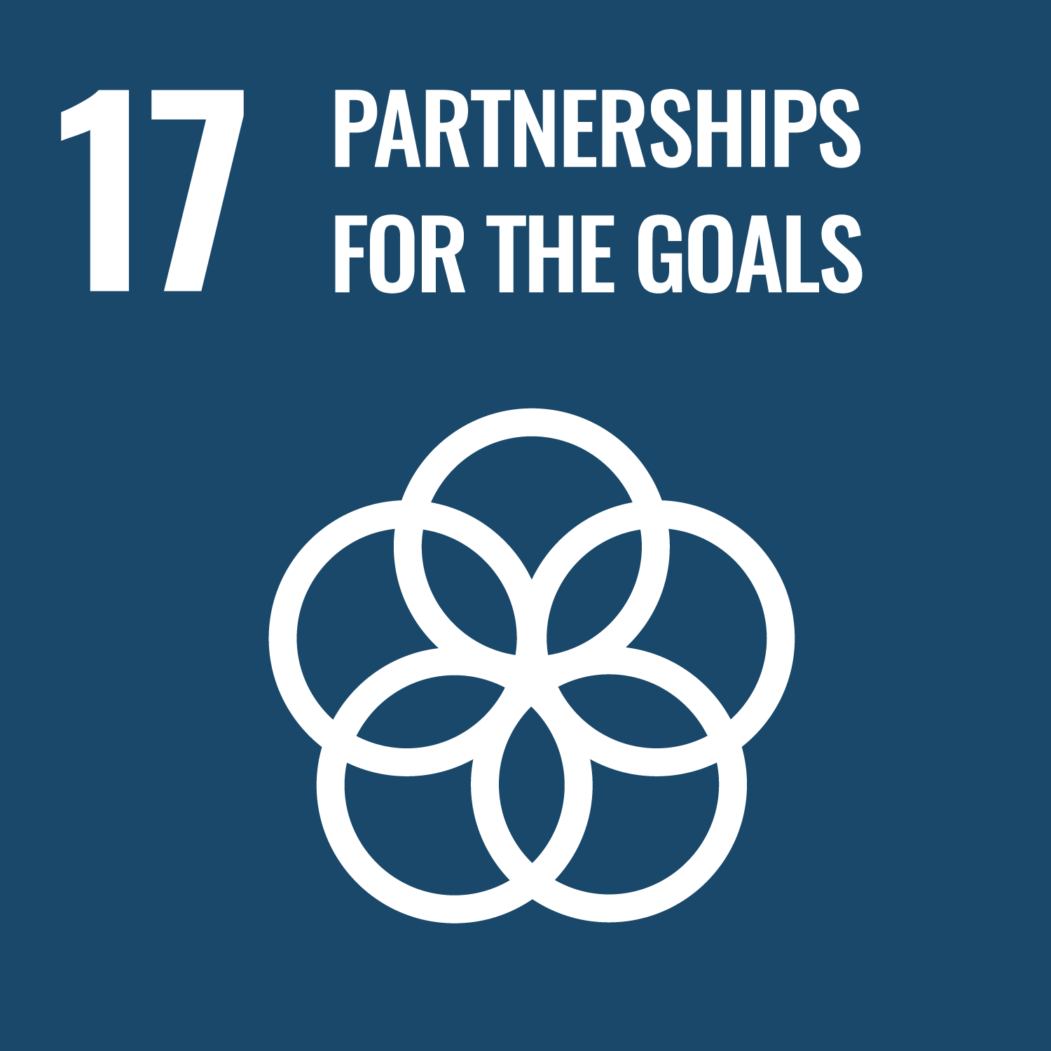 Icon for Sustainable Development Goal 17: Partnerships for the Goals
