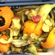Fruit peelings and apple cores in a blue food waste bin lined with newspapers