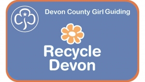 New Go Guiding at Arlington Court North Devon Girl Guide Badge 