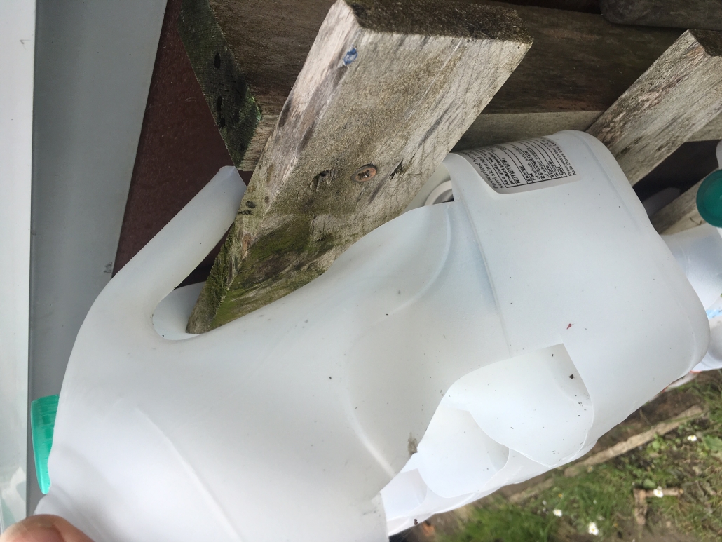 Close up of milk bottle plant pot, on reused pallet support