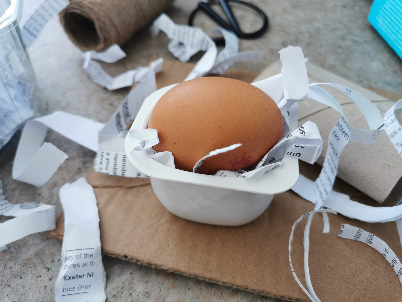 An egg rests in a yogurt pot filled with shredded paper. There are various recyclable materials in the background of the image, including cardboard along with scissors and string.
