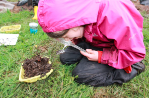 Image of a child in a pink coat with a magnifying glass and a spoon looking for minibeasts in the soil on the spoon, outdoors
