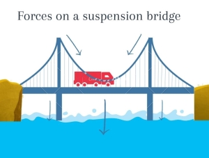Forces on a suspension bridge