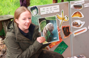 Image of waste educator holding an image of a tardigrade during an outdoor minibeasts activity behind her is a board with images of a snail, a banana and other minibeasts