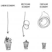 Pictographic of Linear Economy (represented by a straight line), Recycling Economy (represented by a line with two circles) and Circular economy (represented by a circular line)