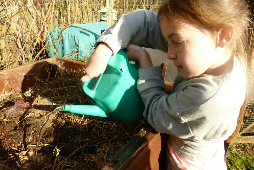 Girl with watering can pouring water on a compost heap