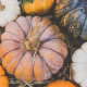 a selection of pumpkins