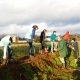 Eco group (teenage children) on a bank with boots and spades clearning vegetation from trees and planting new trees