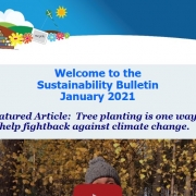 January 2021 sustainability bulletin
