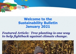 January 2021 sustainability bulletin
