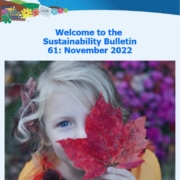 Snapshot from the November 2022 edition of the Sustainability Bulletin