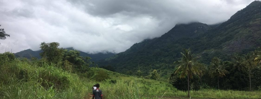 the countryside around a Tanzanian village