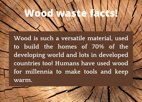 Wood is such a versatile material, used to build the homes of 70% of the developing world and lots in developed countries too! Humans have used wood for millennia to make tools and keep warm.