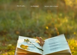 An image of a book outside on the grass in the evening sun. A few leaves are on the open book.