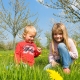 Two children enjoying a sunny spring day in a meadow with lots of yellow dandelions flowering around them with blossom trees in the background