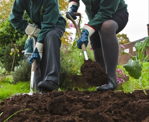 Smiling boy and girl shoveling compost in a school garden