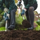 Smiling boy and girl shovelling compost in a school garden
