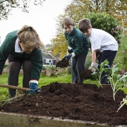 Children digging compost in a school garden
