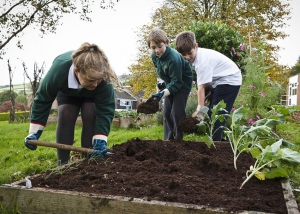Children digging compost in a school garden