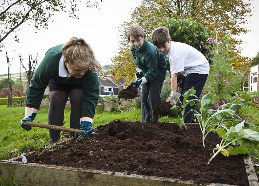 Compost and Growing Plants KS2 Y3 Zone