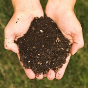 Cupped hands holing compost