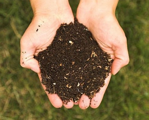 Cupped hands holding compost