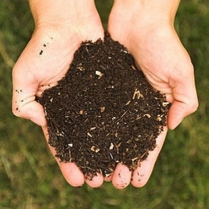 Hands holding some Compost