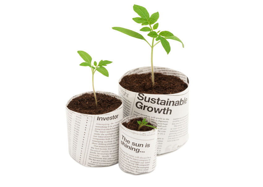 Compost and Growing Plants KS2 Y3 Zone