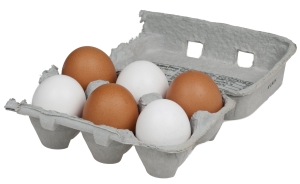 Carton of 6 eggs