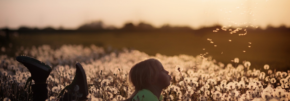 child lying down blowing a dandleion clock in a field of dandelions with atmospheric autumnal lighting