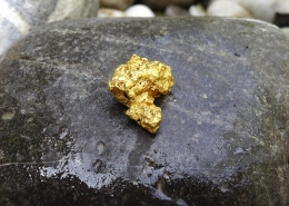Gold nugget on rock