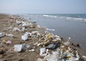 Picture of lots of plastic litter along a beach