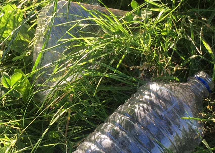Plastic sandwich wrapper and plastic bottle lying discarded in grass