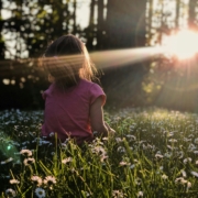 Picture of young girl looking at light coming through trees while sitting in a carpet of daisies