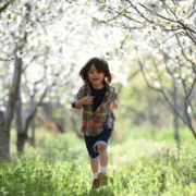 Boy running in springtime through an orchard with trees in blossom all around him.