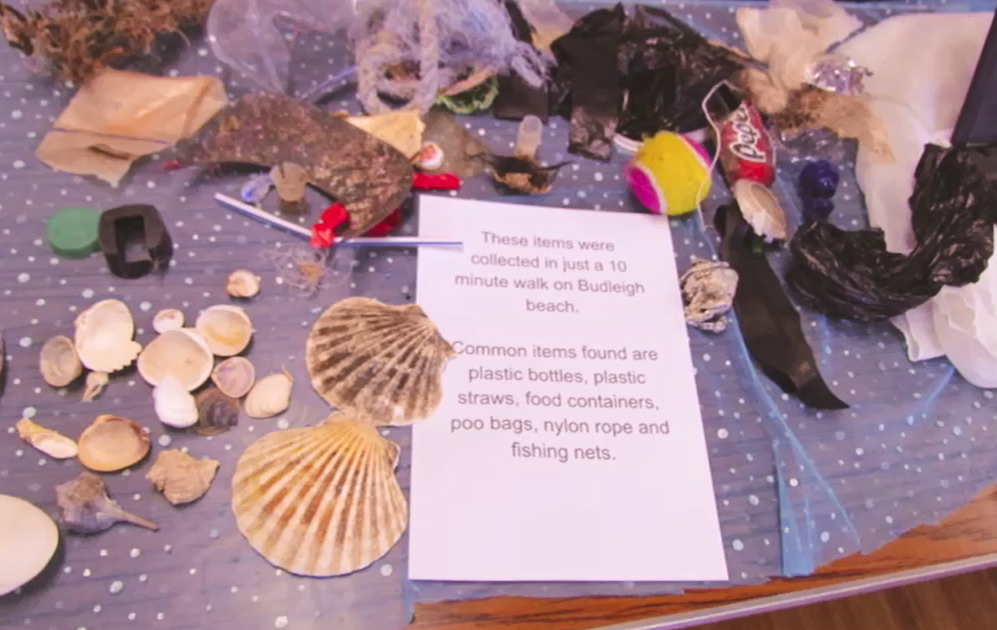 A collection of objects found on a 10 minute walk at Budleigh nbeach including scallop shells and lots of plastic pollution, including plastic packaging and fishing gear