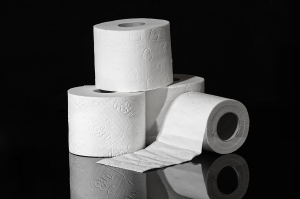 Image of 3 toilet rolls